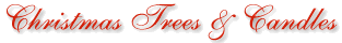 Trees & Candles Logo