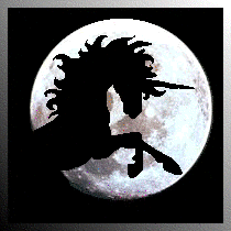 I Believe in Unicorns