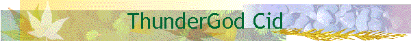 ThunderGod Cid
