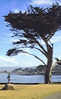 Photo of lover's point