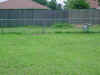 DSC00066.JPG (353243 bytes)