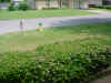 DSC00071.JPG (358598 bytes)