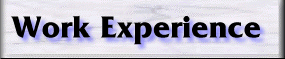 Work Experience