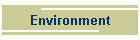 Environment