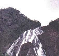 Image8.gif (20246 bytes)