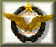 Gold Wing Of Excellence Award