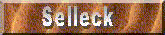 www software production of Infinite Fish