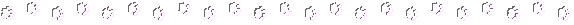[paws.bmp]