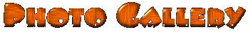 photogallery.gif (8709 bytes)