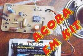 amplificador de 1W simples e barato .