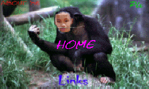 Monkey Man.jpg (122648 bytes)