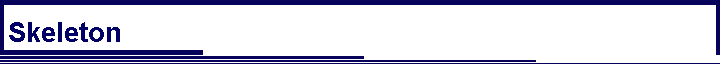 Skeleton