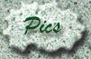 grglace_pics.gif (8240 bytes)
