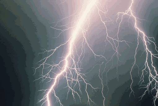 image7.gif