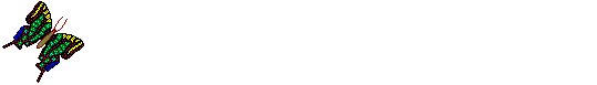 btrfly.gif (6030 bytes)
