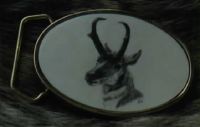 Antelope