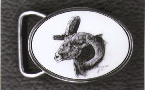 Mountain Goat