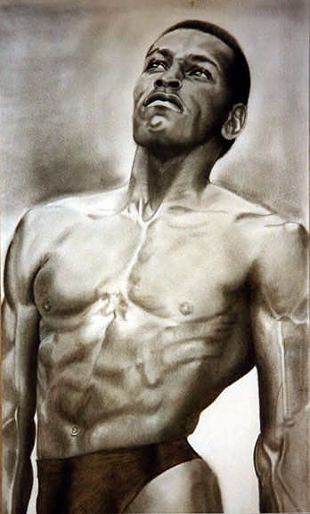 boxer