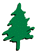 tree pic