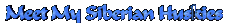Siberian Husky Homepage