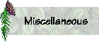 navbs_misc.gif (3074 bytes)