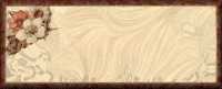 Blank1