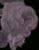 Button1