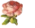 Image of Flower