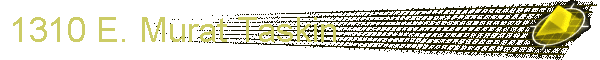 1310 E. Murat Taskin