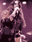 pic16.gif(5.39 KB)