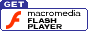 Download Flash's Latest Player