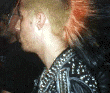 JakeRat.gif (77930 bytes)