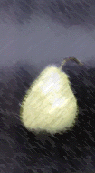 peren.gif (79055 bytes)