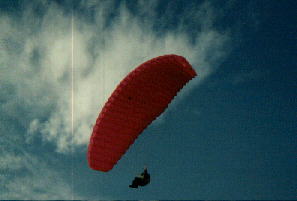 Paraglider