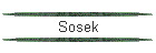 Sosek
