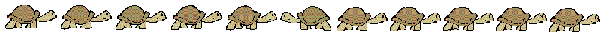turtleline.gif (3720 bytes)