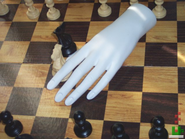 Chess (c) 2005 TStodden, (c) 2005 N.M.E.
All Rights Reserved