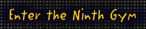 Enter the Ninth Gym