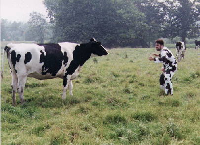 /user/cowvsman.gif