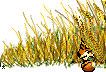 /user/signcub6.gif