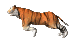 /user/tiger-run-icon.gif