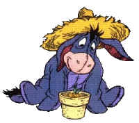 eeyhat.gif (16261 bytes)