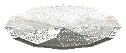 ͤ