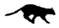 AnCatrun.gif (10326 bytes)