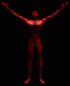 homem.gif (3020 bytes)