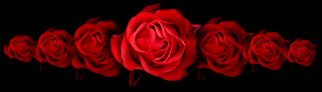 [redroses.gif]