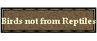 Birds not from Reptiles