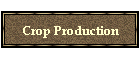Crop Production