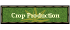 Crop Production