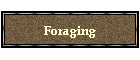 Foraging